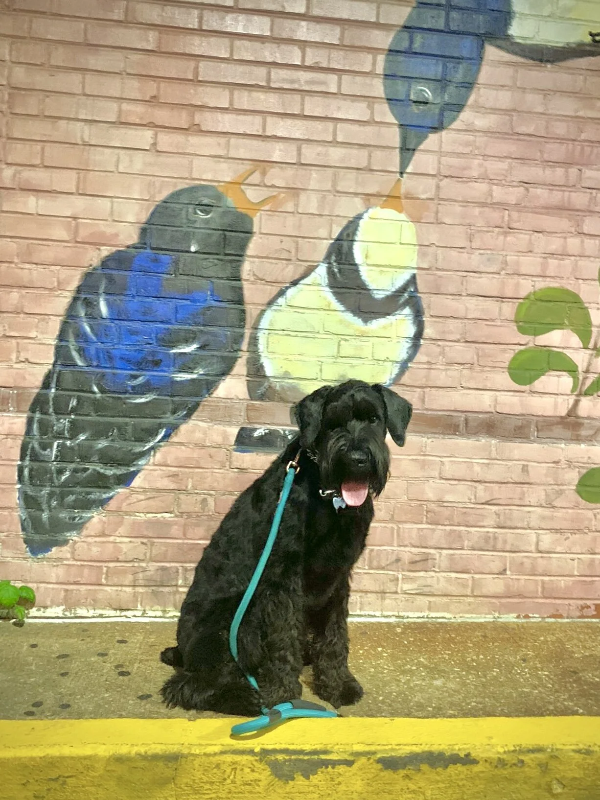 Calming k9 hotsell dog training